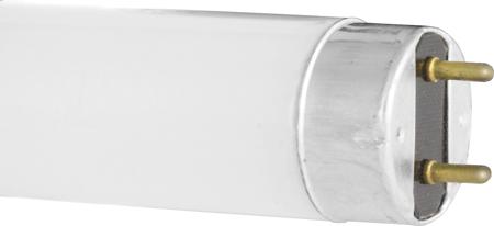 Люминесцентная лампа  Camelion  T8  10Вт  4200К  G13